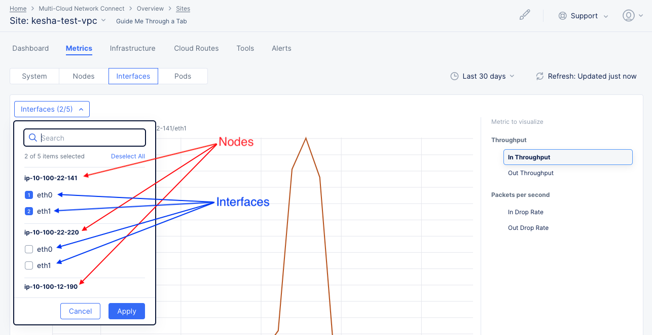 Figure: Site Interface Metrics